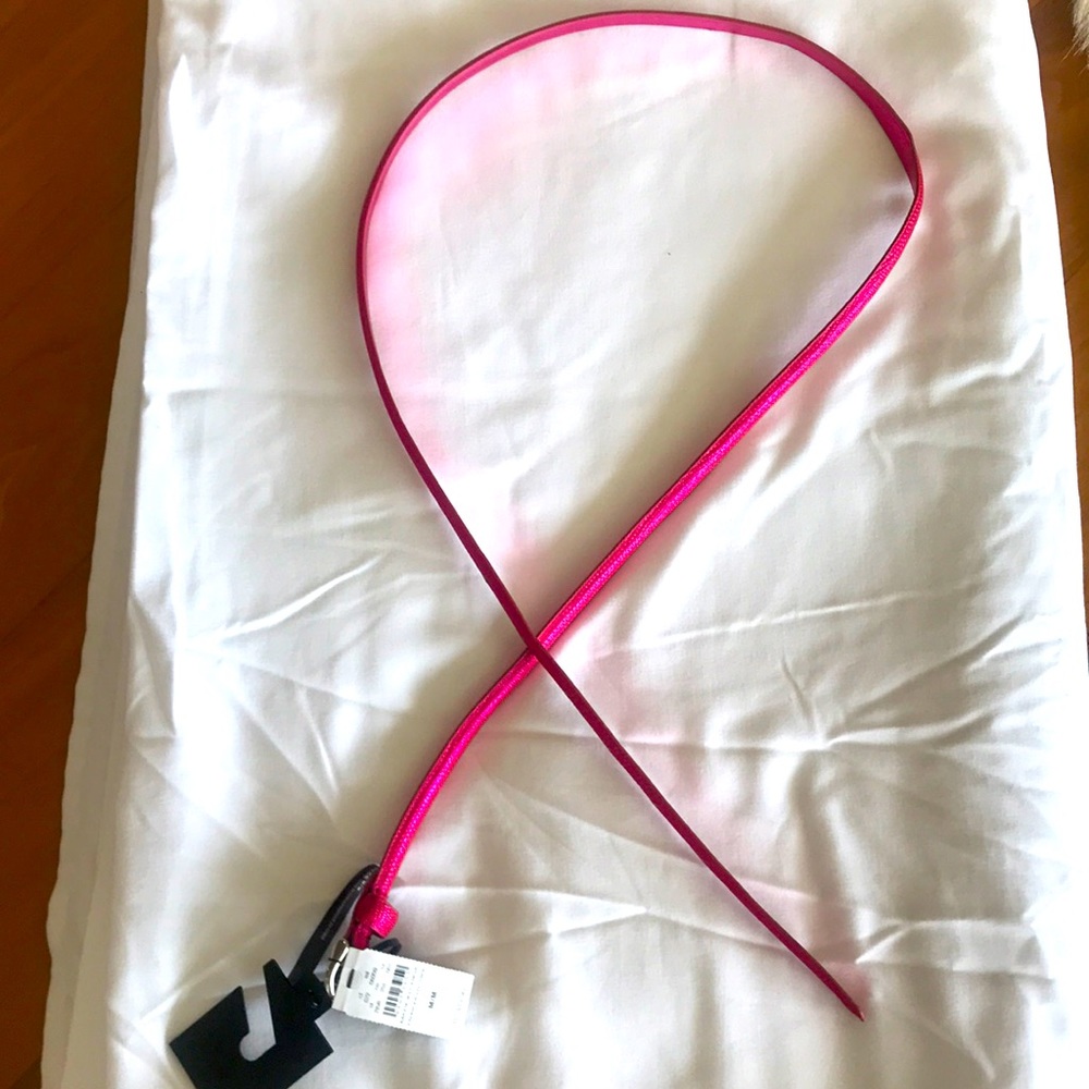 Express Skinny Belt